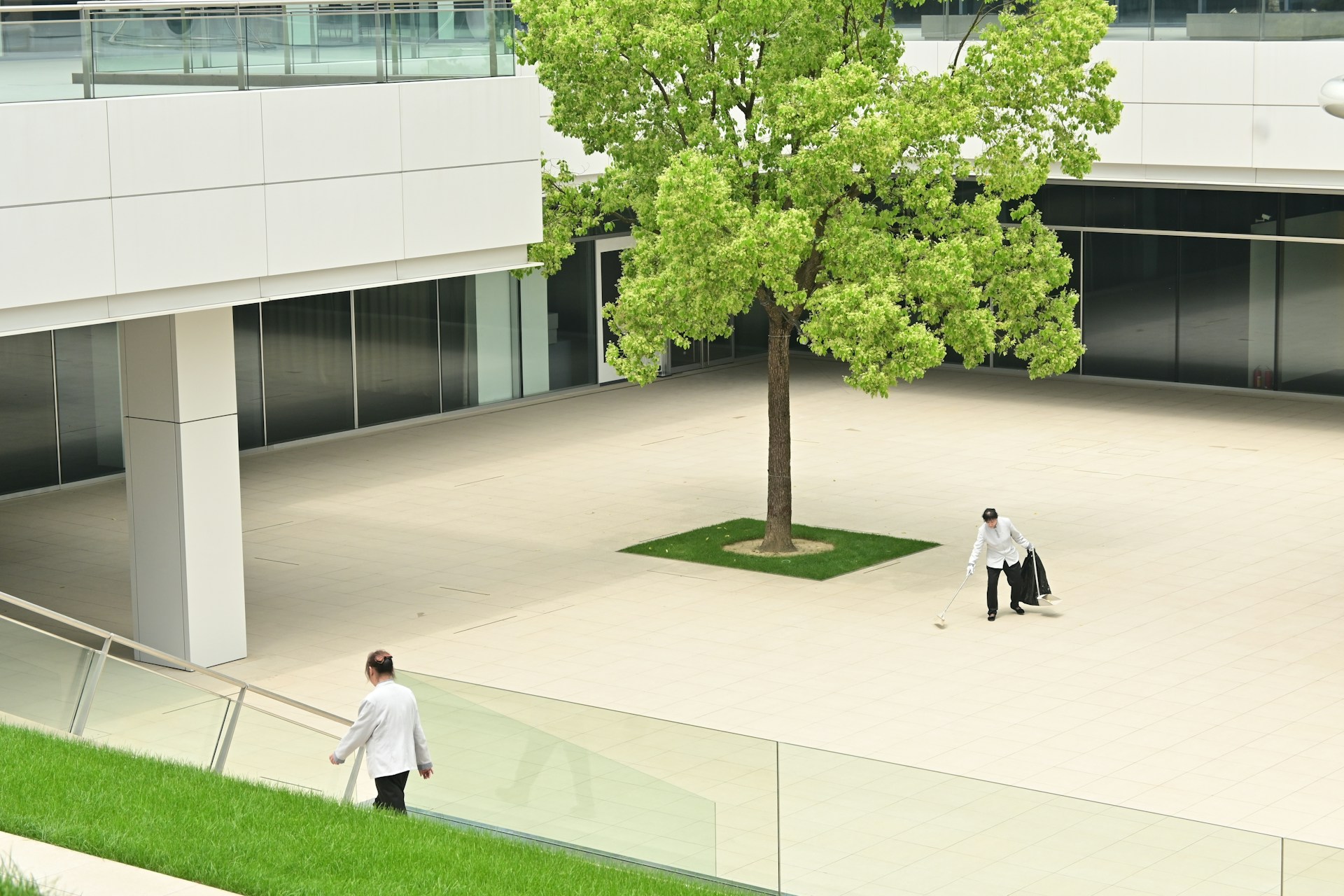 Creating Safer and More Efficient Workplaces Through Professional Facility Services